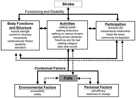 Image result for ICF Model Chart