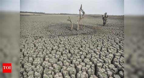 Maharashtra Drought: Maharashtra govt declares drought in 151 tehsils ...