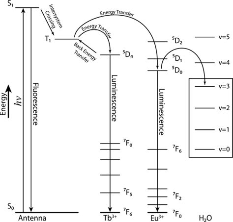 A Lanthanide-Based Chemosensor for Bioavailable Fe3+ Using a ...
