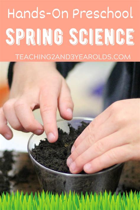 Image result for Spring Science Activities