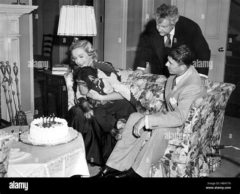 BEDTIME FOR BONZO, Diana Lynn, Walter Slezak, Ronald Reagan, 1951 Stock ...