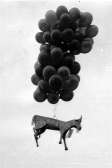 Java Geet 的图像结果