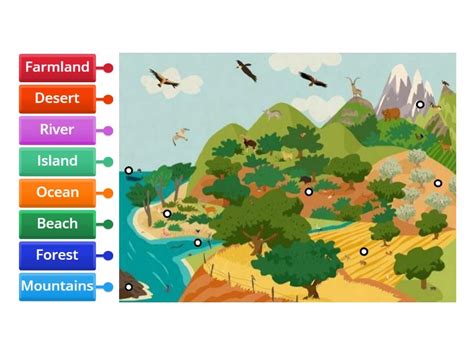 Image result for Habitat Example