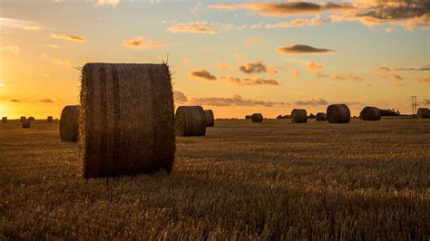 Download wallpaper 3840x2160 field, hay, horizon, sunset 4k uhd 16:9 hd ...