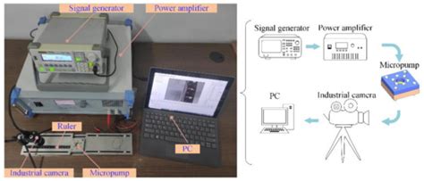Achieving Full Forward Flow of Valveless Piezoelectric Micropump Used ...