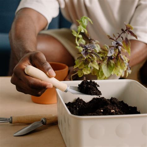 The Ultimate Guide to Gardening Tools – Ecofynd