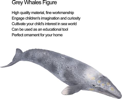 Buy Grey Whales Figure, Marine Life Figure Toy Grey Whale Model for ...