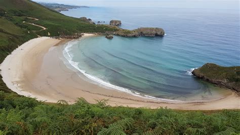 Coast 的图像结果