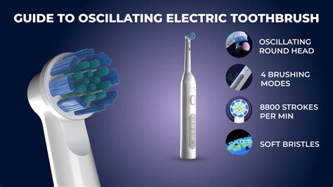 Guide To Oscillating Toothbrush – Hammer