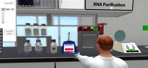 Virtual PCR Simulator 的图像结果
