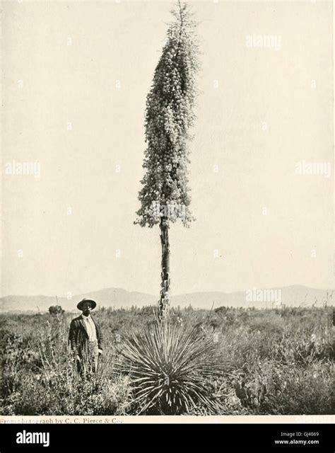 *The Mystic Mid-Region, The Deserts of the Southwest* (1904) explores ...