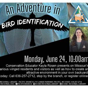 An Adventure in Bird Identification with Missouri Department of ...