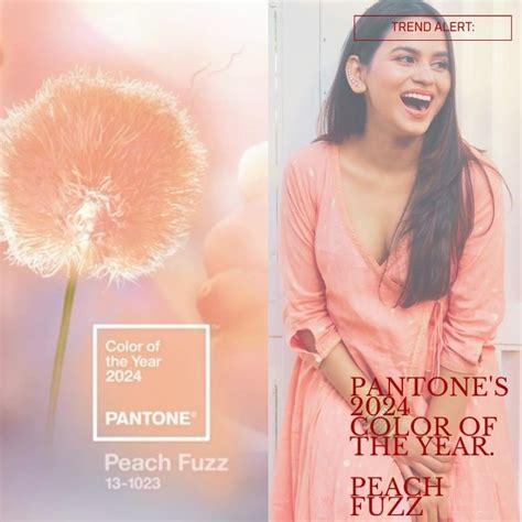 Embracing the Radiance of the Year's Trendsetting Hue – Peach Fuzz ...