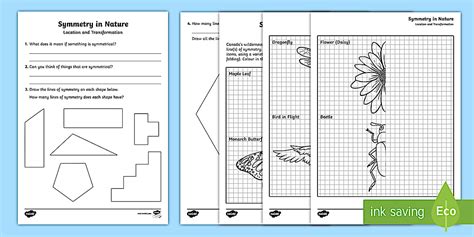 Symmetry in Nature Worksheet / Worksheet (teacher made)