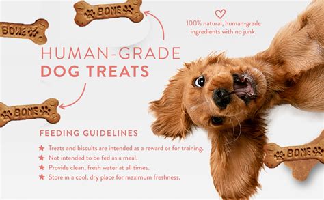 Buy Chewers Pumpkin & Carrot Dog Biscuits, 1 Kg Online at Low Prices in ...