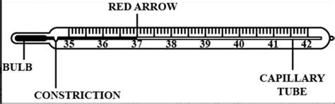 Draw a neat labelled diagram of clinical thermometer and explain it in ...