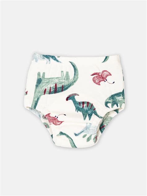 Babyclan Potty Training Pants - Roar – mackly