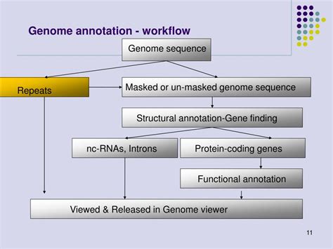 Image result for Gene Annotation Assignment
