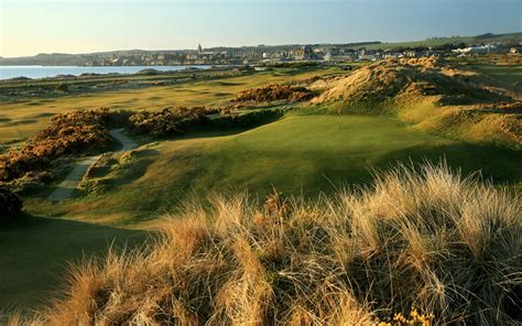 Golf Camp Program 的图像结果