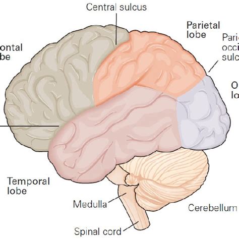 Image result for Cortex-R Vector Table