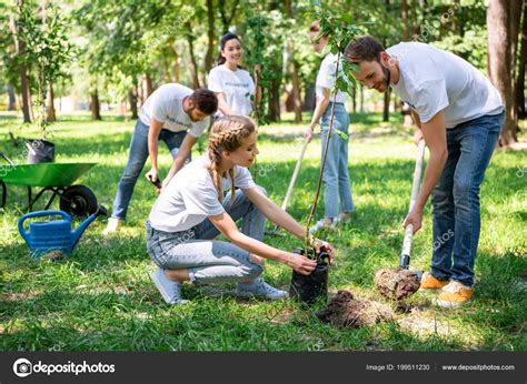 Tree-Planting Activity 的图像结果