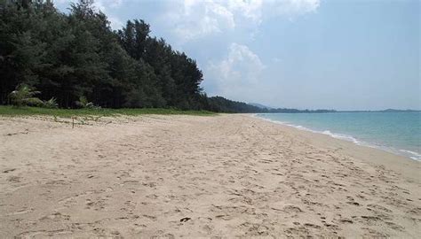 Restaurants In Khao Lak Your Best Dining Options In 2026