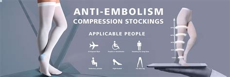 Company Overview - Zhejiang Rongrong Hosiery Co., Ltd.