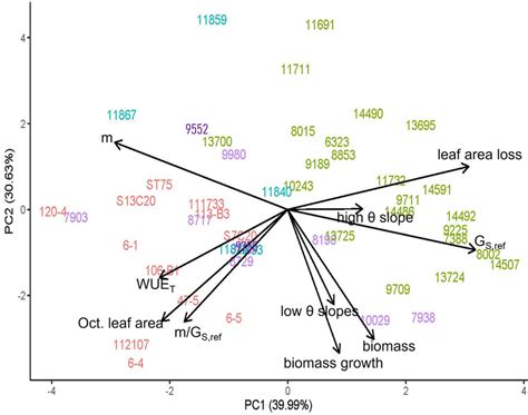 Biplot Interpretation 的图像结果