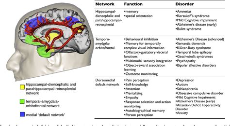 Limbic system Memory 的图像结果