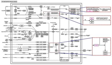 Network Pharmacology Study to Interpret Signaling Pathways of Ilex ...