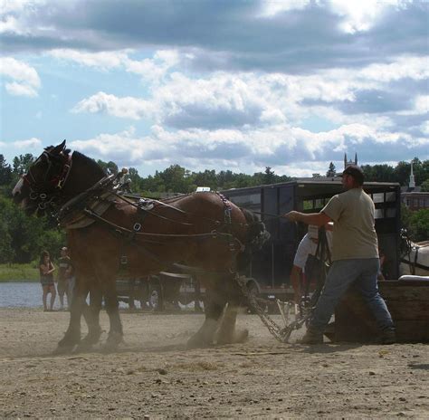 Image result for Ready Set Pull Anduin