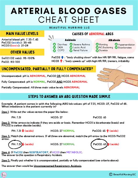 ABG CHEAT SHEET: UNDERSTANDING ARTERIAL BLOOD GASES FOR NURSING - Studocu