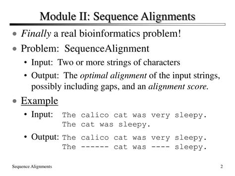 Dynamic Programming Bioinformatics 的图像结果