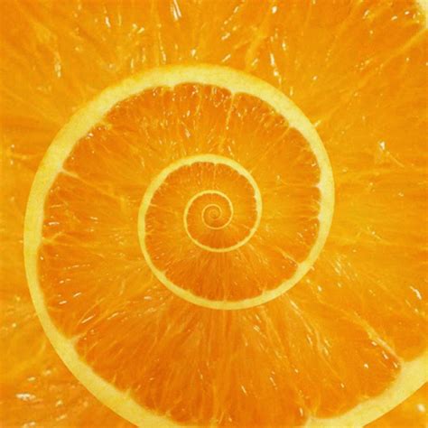 Image result for Using iPhone 12 Mini