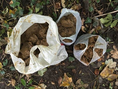 How to Find Diamonds Using River Clay 的图像结果