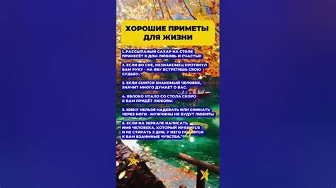 Хорошие приметы для жизни #приметы #эзотерика #гороскоп #астрология # ...