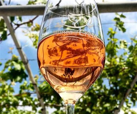 Explore the Secrets of Wine and Olives | Uncover a World of Flavors ...
