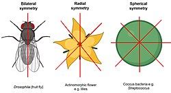 Image result for Matrix Methods in Machine Learning