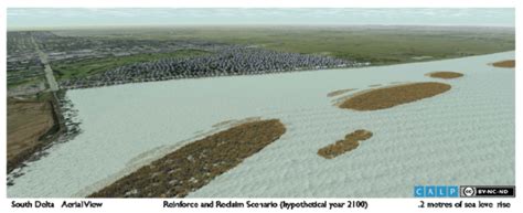 Sustainability | Special Issue : Adaptation or Extinction