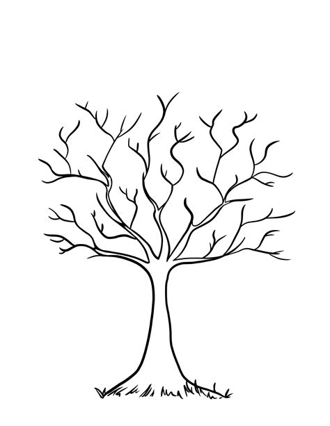 Image result for Tree Drawing Worksheet