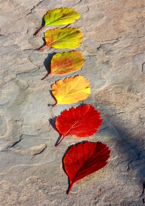 Image result for Example Picture That Has Visual Elements