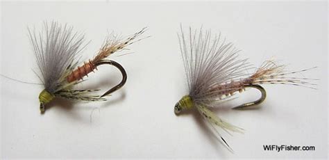 Image result for PMD Fly Pattern