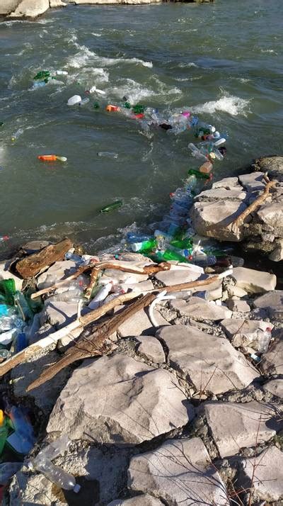Plastic Bottles - Dataset Ninja