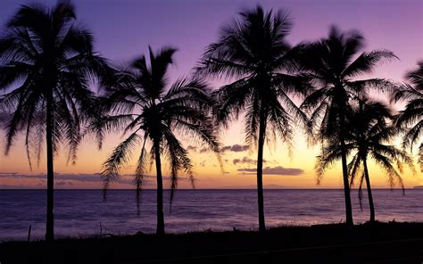 Sunset Maui Hawaii Wallpapers - 4k, HD Backgrounds on WallpaperBat