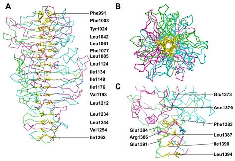 Structure of the Receptor-Binding Carboxy-Terminal Domain of the ...