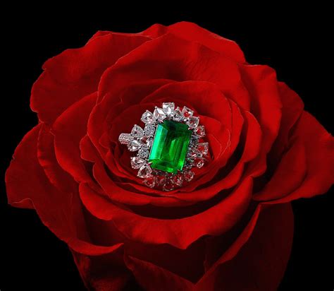 TCL Large Screen TVs - XL Collection | TCL India