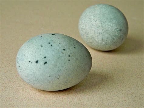 Duck Egg Blue Floor Tiles