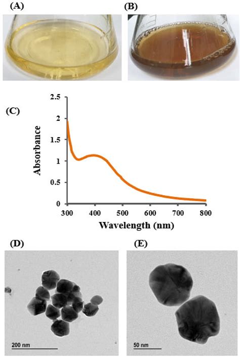 Extracellular Synthesis of Bioactive Silver Nanoparticles Using ...