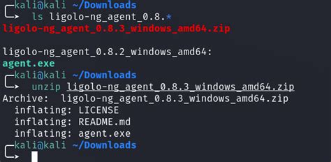 Bypassing WDAC and AppLocker Using Ligolo - Hacking Articles