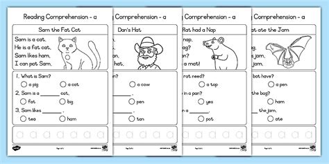 Grade 1 Reading Comprehensions: a Sound (teacher made)